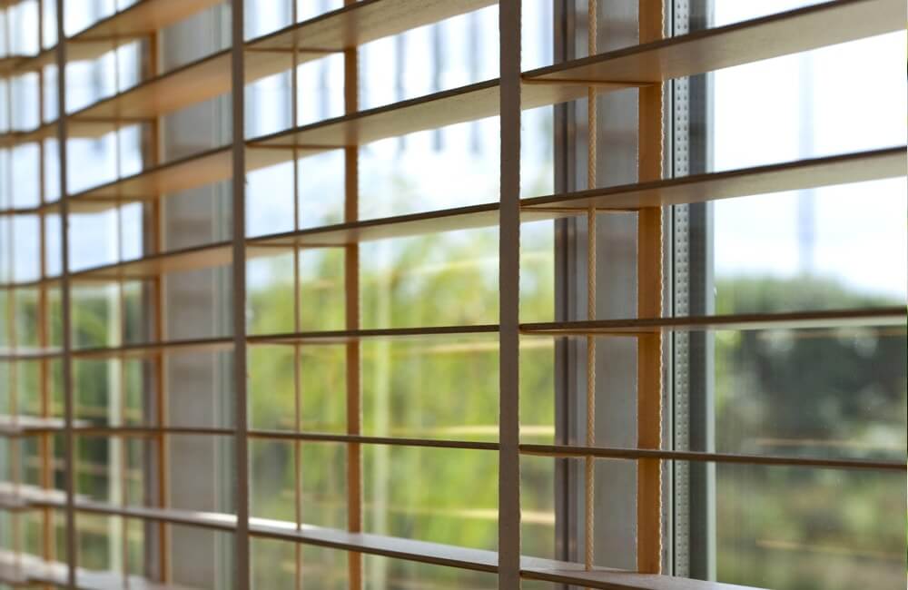 blinds